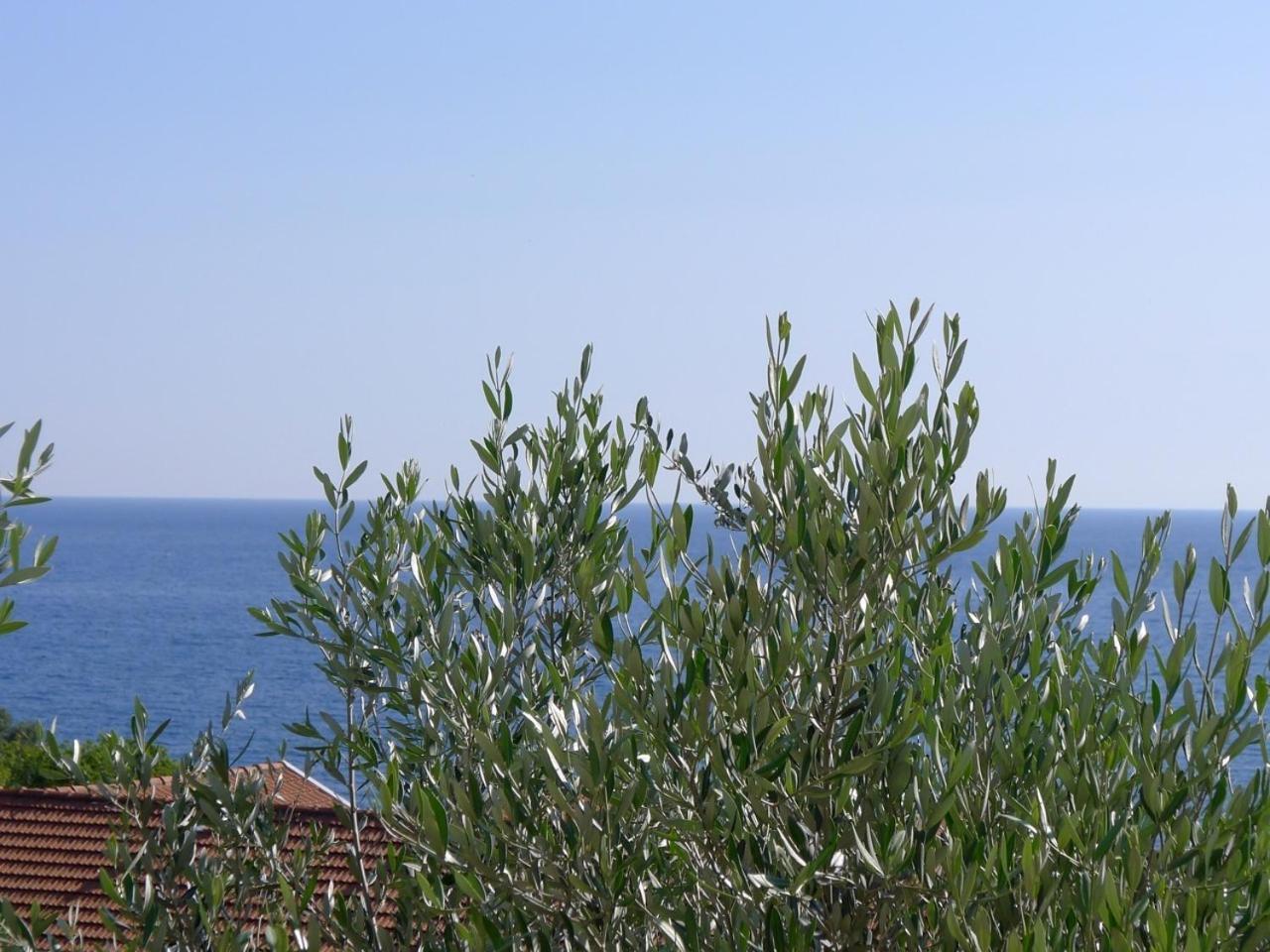 Apartments Maslina Sveti Stefan Luaran gambar