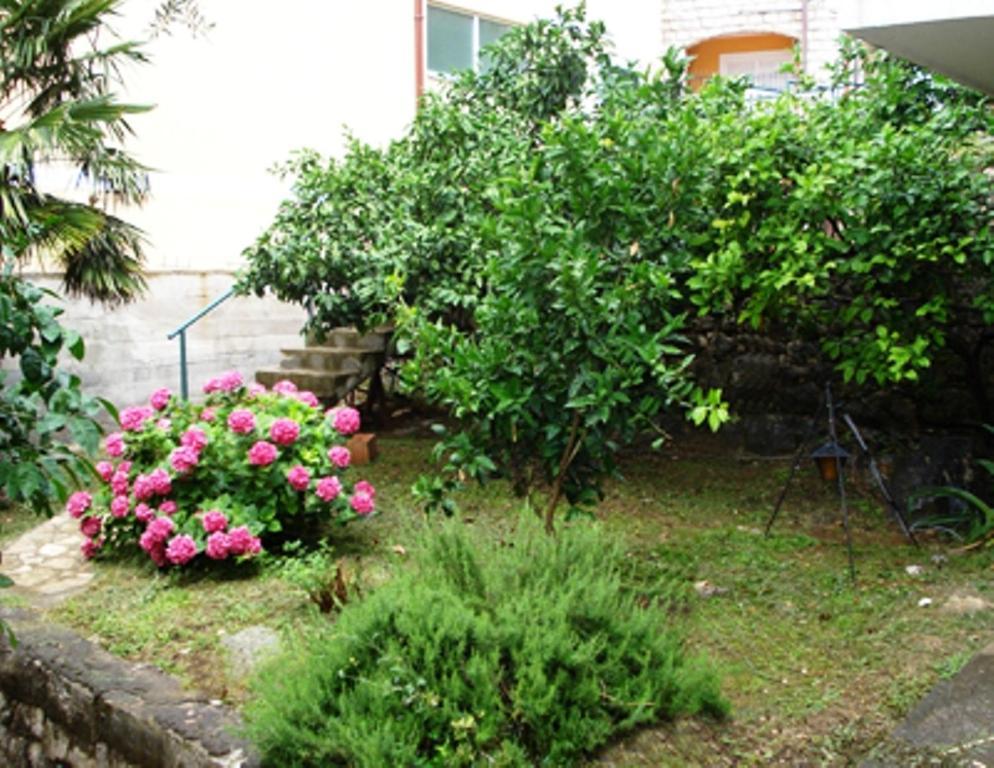 Apartments Maslina Sveti Stefan Luaran gambar